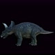 4K Diceratops Dinosaur - VideoHive Item for Sale
