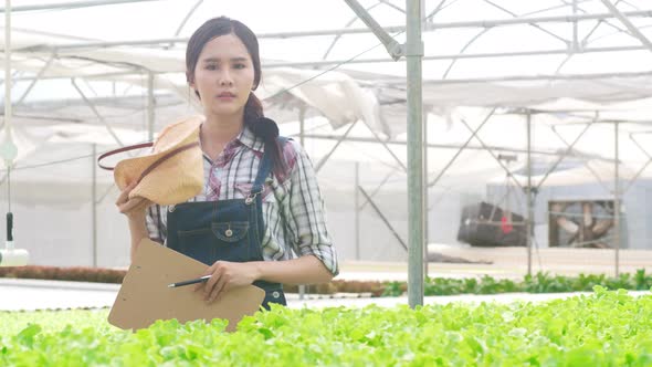 Asia lady farmer harvesting green oak from hydroponics vegetable farm in greenhouse garden.