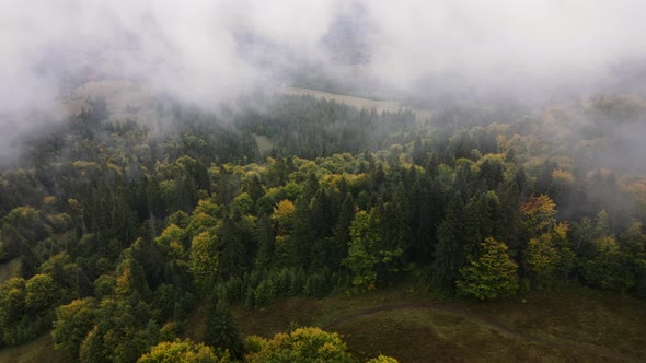 Beautiful Misty Autumn Forest in Carpathian Mountains Drone Shot