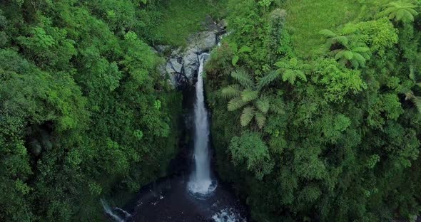 drone footage of Kedung Kayang Waterfall with a height of up to forty meters and surrounded by plant alt