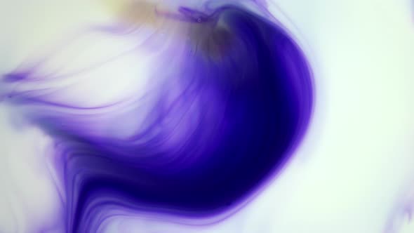 Ink in Water. Violet Ink Reacting in Water Creating Abstract Background