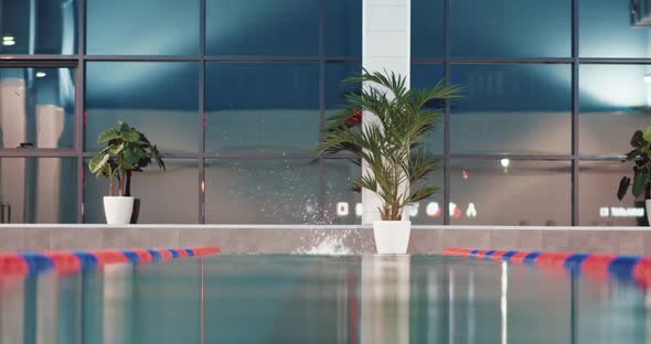 Professional Female Swimmer Jumping Into the Water and Swims in the Pool Young Woman Training in the alt