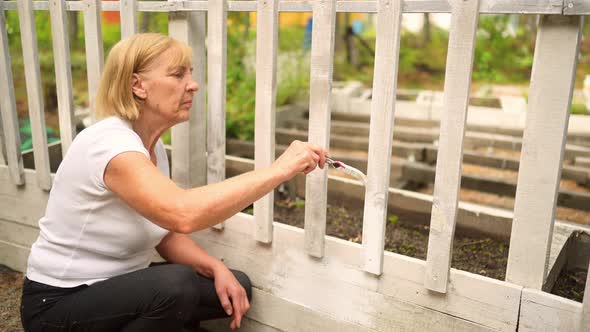 Elderly Senior Gardener Woman Paints Wooden Fence White Color at Summer Farm Countryside Outdoors