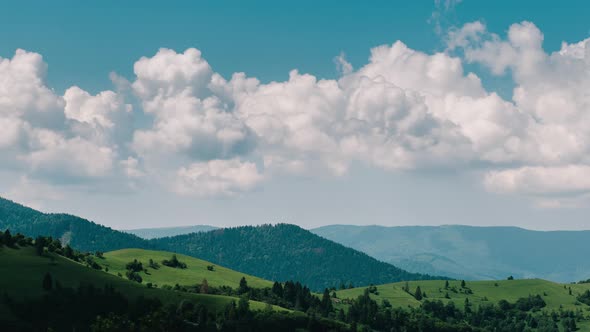 Time Lapse of Clouds Moving Over Tree Tops on Blue Sky Background Three in One alt