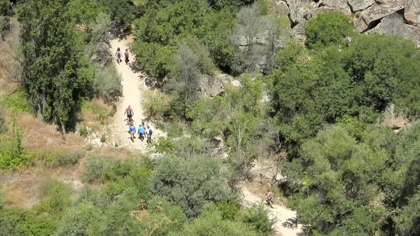 Crowded Group of Tourists Hiking on the Path in the Forest Nature alt