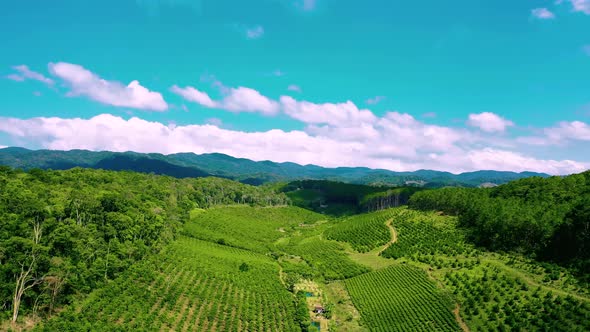 Mountains and Plateaus alt