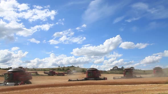 0002   Pan 5 Colheitadeiras Campo De Trigo