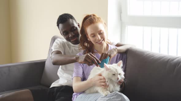 A Man and a Woman Sit at Home on the Couch and Pet Their Favorite Cat