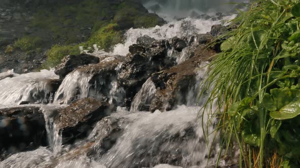 Mountain River Washes Sharp Rocks and Wet Plants on Bank alt