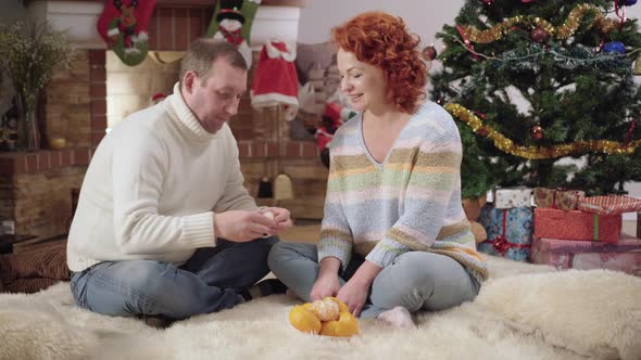 Loving Adult Man Feeding Wife with Tangerines on Christmas Eve at Home alt