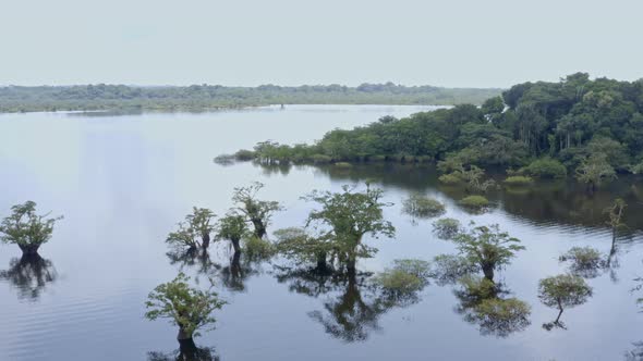 A lagoon in the Amazon of Ecuador, an ecosystem of inundated tropical forest alt
