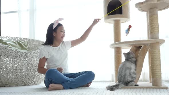 Cute Asian Girl Playing With Kitten Slow Motion alt