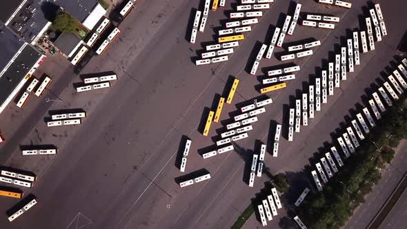 Aerial shot of Transport - bus, bus stop, bus station. Top view. Many bus parked. alt