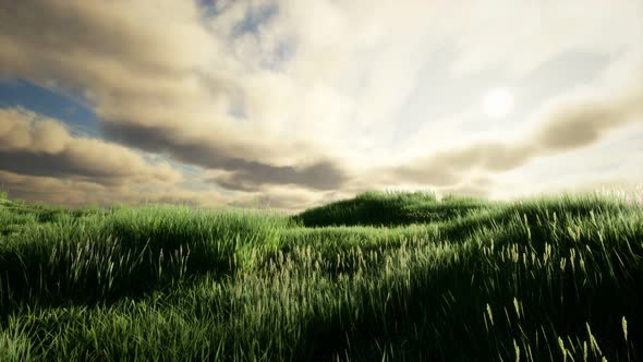 Storm Clouds Above Meadow with Green Grass alt