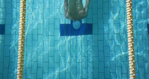 Swimmer training in a swimming pool alt