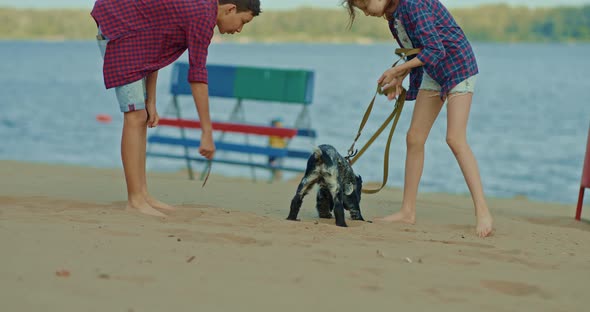 Brother and Sister are Playing with a Dog on the Beach They are Happy