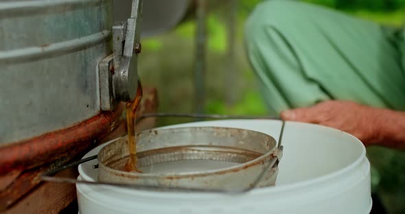 Stream of Honey Flows From the Honey Extractor Into the Jar. Natural Eco-friendly Product. Fresh alt