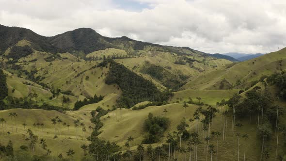 Aerial flying into beautiful Cocora Valley during daytime. Colombia. alt