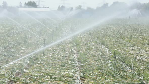 Agricultural Irrigation