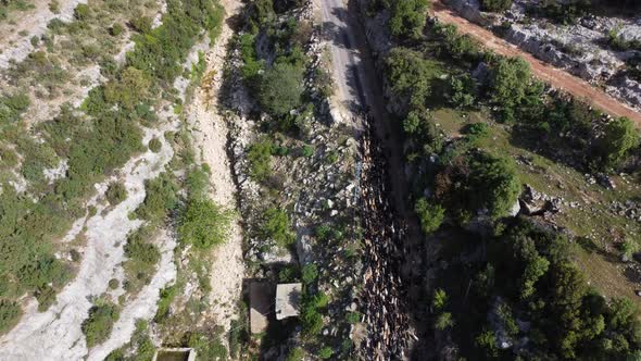 Aerial View Goats Moving Road alt