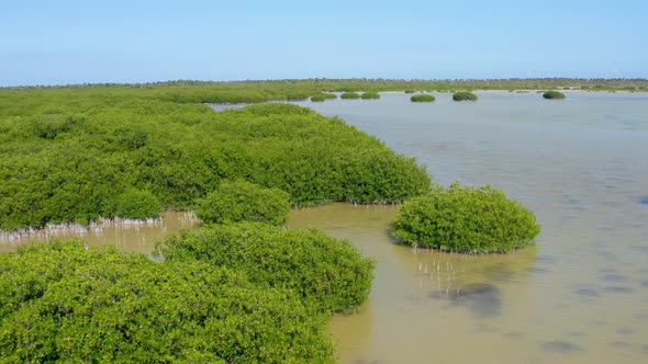 Oviedo Lagoon in Jaragua National Park, Pedernales, Dominican Republic. Aerial forward alt