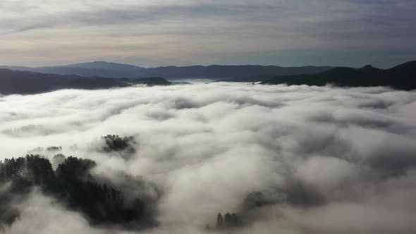 Fog and Clouds