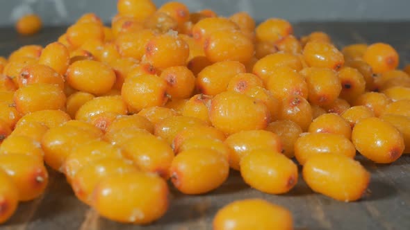 Heap of Frozen Yellow Sea Buckthorn Berries with Pieces of Ice on a Wooden Background alt