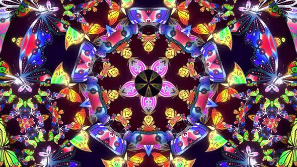 Colorful Butterfly Kaleidoscope
