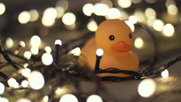 Closeup Shot of Rubber Duck on Background of Christmas Garland on a Playd alt