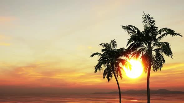 Sunset on the background of palm trees and beautiful clouds in the tropics.