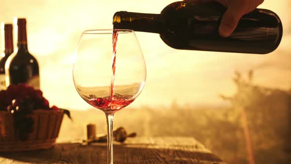 Wine tasting in the vineyard