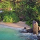 Man on beach at Seychelles  - VideoHive Item for Sale