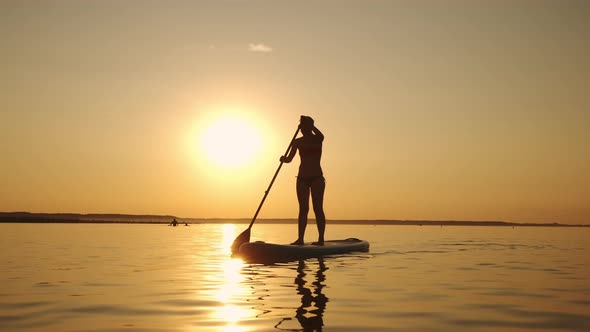 Siluet of Woman Standing on SUP Board and Paddling Through Shining Water Gold Surface alt