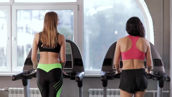 Two Young Athletic Women Walking on a Treadmill at Gym. Fitness and Healthy Lifestyle Concept.