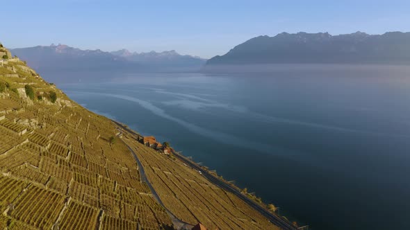Flying high over typical houses in Lavaux vineyard (Clos des Moines and Les Abbayes).Lake Léman and alt
