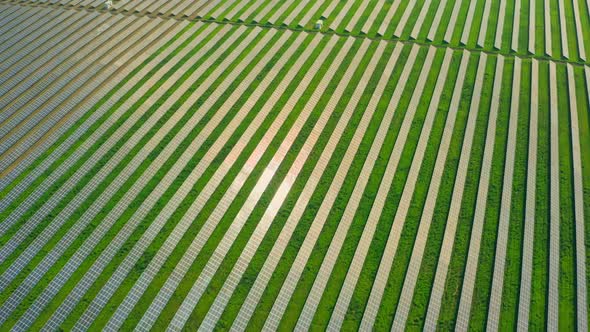 Industry Sun Factory Solar Power Station Farm Energy Nature Green alt