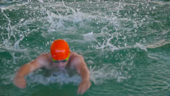 Swimmer Performing The Butterfly Stroke alt