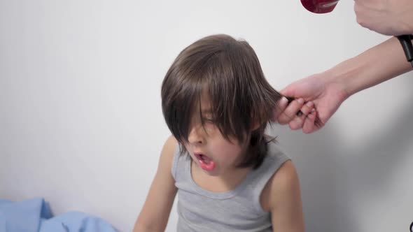 Mom Dries Long Wet Hair for Her Five Year Old Son in a Blue Bathrobe on a White Bed alt
