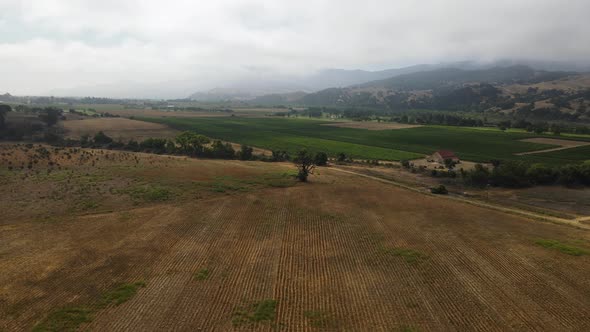 Aerial/Drone footage of California Vineyard/Field and Mountains near Solvang