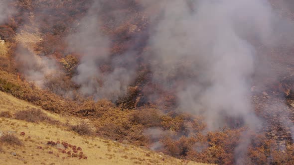 Bushes and brush on fire as smoke rises into the air alt