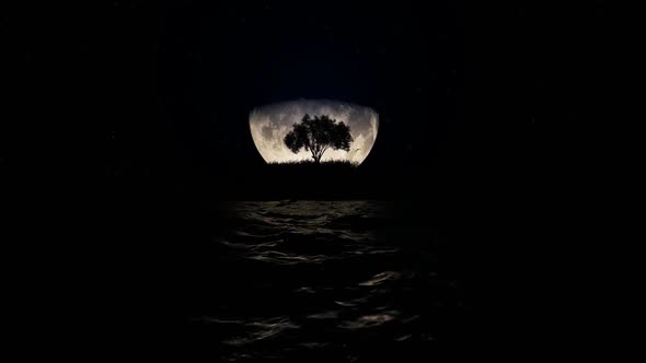 Moon And Tree Background