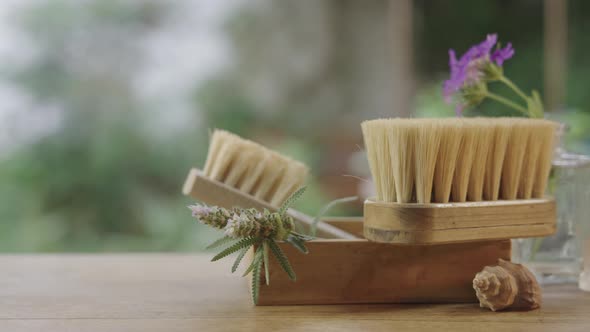 dry brushing, healthy skin care routine alt