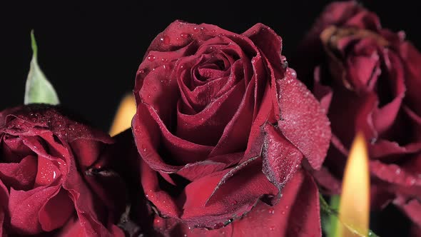 Three Stem of Roses Inside the Black Room alt