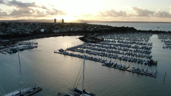 Viaduct Harbour, Auckland New Zealand alt