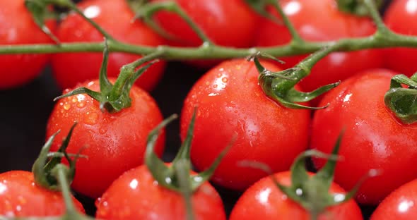Cherry tomato in red alt