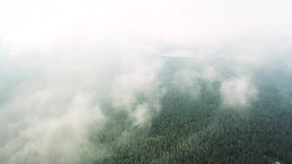 Aerial view running clouds over green forest. Time lapse white clouds 