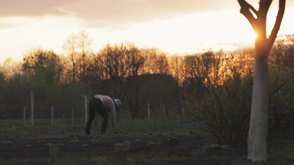 Farmer Working at Garden During Sunset