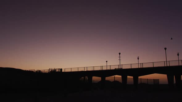 Silhouette of a bird flying over a bridge and street lamps at sunset alt