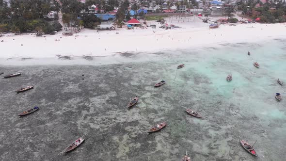 Lot Fishing Boats Stuck in Sand Off Coast at Low Tide Zanzibar Aerial View alt