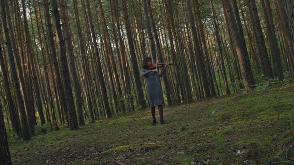 Woman Musician Is Playing Fiddle In Forest
